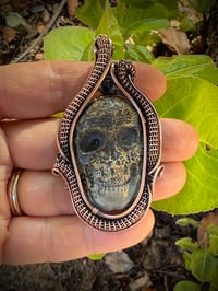 Image 1 of Serpentine Skull Wrapped in Copper