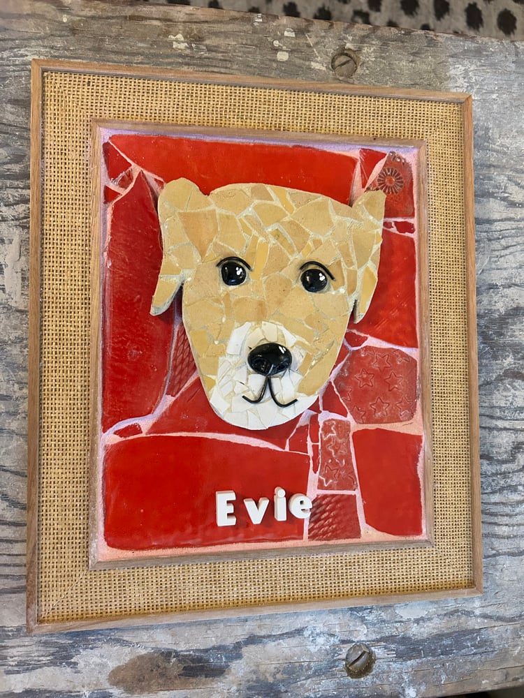 Image of Evie, reserved for Ricky