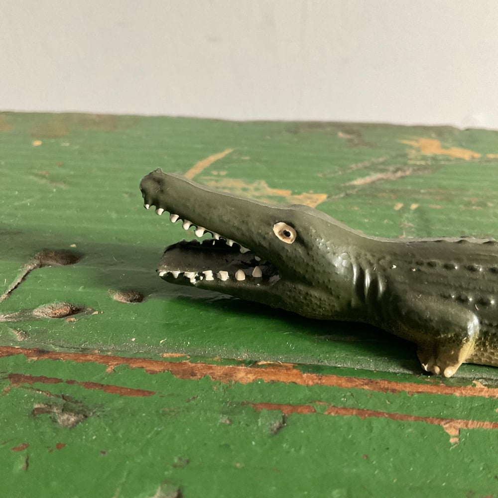 Image of Aligator