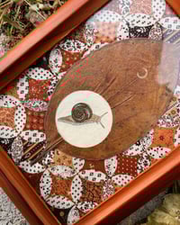 Image 1 of "Portrait of a Snail" original