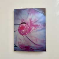 Image 1 of Starry Eyes