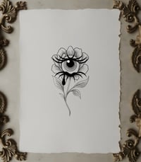 Spying Flower