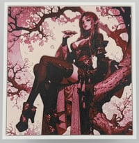 Image 12 of Cherry Blossom