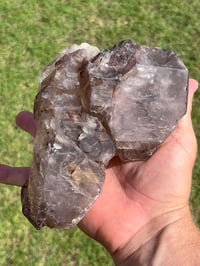 Image 16 of Smoky Quartz & Red Rutile Enhydro Multi Terminated Crystal | Zambia #3052