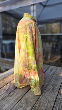 Image 5 of Cantaloupe