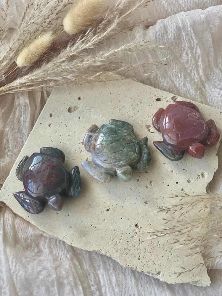 Image of Ocean Jasper Turtles 