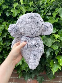 Image 3 of Millie the Mousey Sprite