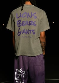 Image 1 of Lions Bears Giants Shirt
