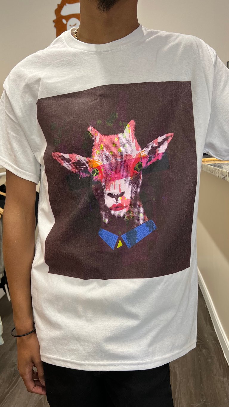 The goat (white) Image 3
