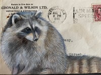 Image 2 of Raccoon on vintage envelope 