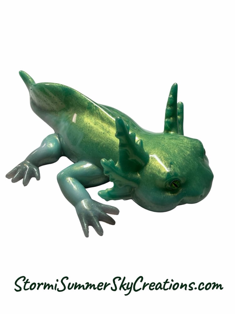 Image of Axolotl 