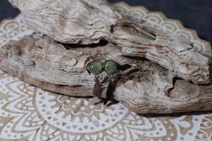 Image of Emerald Tree Boa  - Silver Collection