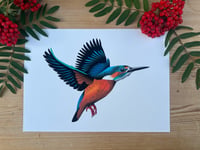 Image 2 of King fisher