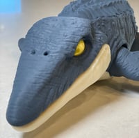 Image 3 of Mosasaurus Articulated Figure
