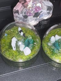 Image 4 of animal farm griptok 