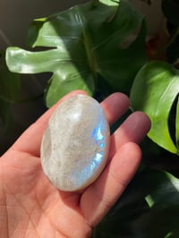 Image 1 of Moonstone Palm Crystal (8)