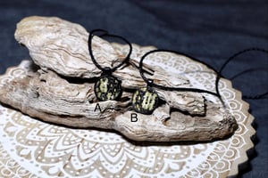 Image of ‘Bumblebee’ Collection- Madagascar Hognose