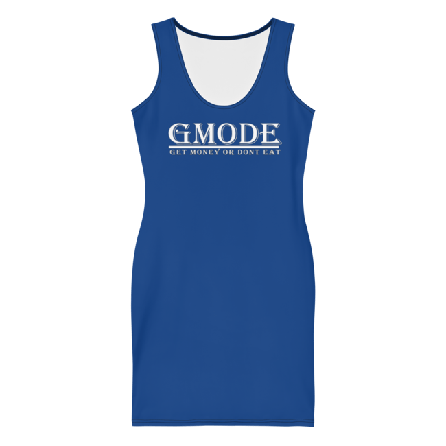 Gmode Blue Cut & Sew Dress 