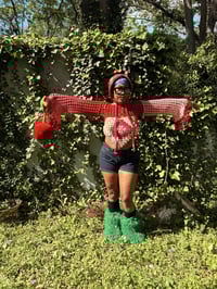 Image 1 of strawberry swing
