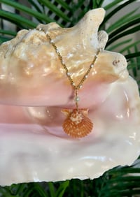 Image 2 of Scallop Shell Necklace N201