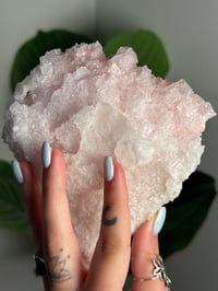 Image 2 of XL PINK HALITE -OWENS LAKE- F