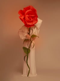 Image 1 of « Flowers and thorns » with a very small defect 