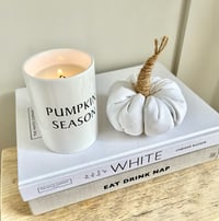 Image 2 of Mini Winnie Fabric Pumpkin 