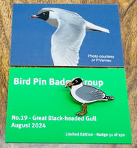 Image 1 of Great Black-headed Gull - No.19 - Bird Pin Badge Group Series