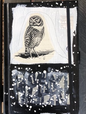 Image of Owl Journal- mixed media