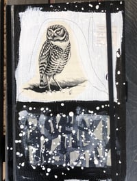 Image 1 of Owl Journal- mixed media