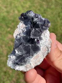 Image 9 of Fluorite On Matrix Specimen #1930