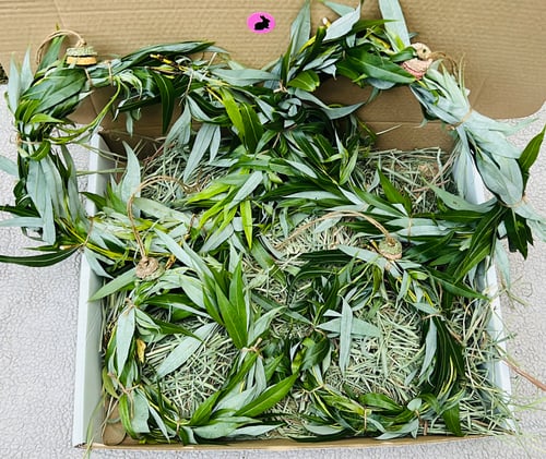 Image of Willow branch ring