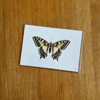 Image 4 of Butterfly Print #2 - Various Designs