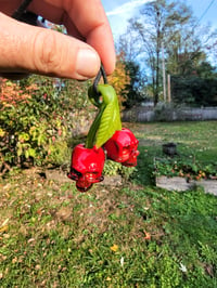 Image 11 of Cadmium Red Skull Cherries