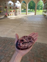 Image 1 of Grotesque Creature: Lone Steaky 