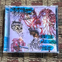 Image 1 of THISCITYHATESYOU “OUR LIPS WILL SURELY MEET” CD