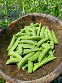 Image 1 of Freeze Dried Sugar Snap Peas