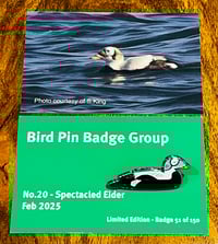 Image 1 of Spectacled Eider - No.20 - Bird Pin Group Series