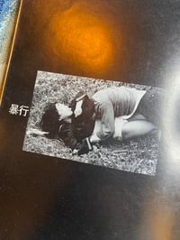 Image 2 of Koji Wakamatsu- Pink Film Collection: My Eros Feast, 1970. RARE.