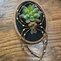 Image 1 of Succulent spider (e, 4x5 inches)