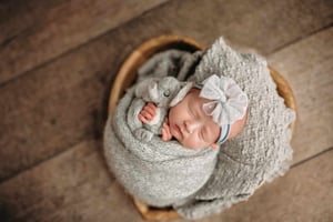 Image of Elephant lovey 