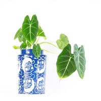 Image 2 of OKAME CLONE VASE