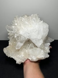 Image 14 of Clear Quartz Points Cluster Statement Piece | Brazil #2936