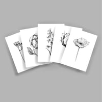 Image 2 of 5 Postcard Pack - Various Designs