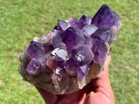 Image 1 of Amethyst Points Cluster |Congo #2909