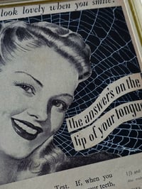 Image 3 of 1940s Nostalgia Collection -PEPSODENT- with real preserved spider web - 6