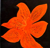 Image 5 of Tiger Lily 