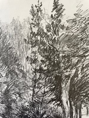Image of VINTAGE DUTCH DRAWING: LANDSCAPE #2