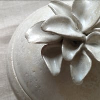 Image 5 of Cajas Natura