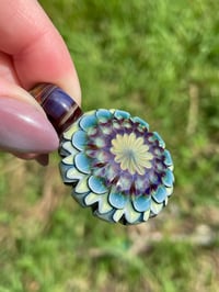 Image 3 of Mountain Daisies